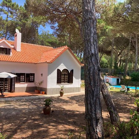 Moradia No Pinhal Com Piscina - Espaco E Privacidade Para As Suas Ferias! Sintra Exteriör bild