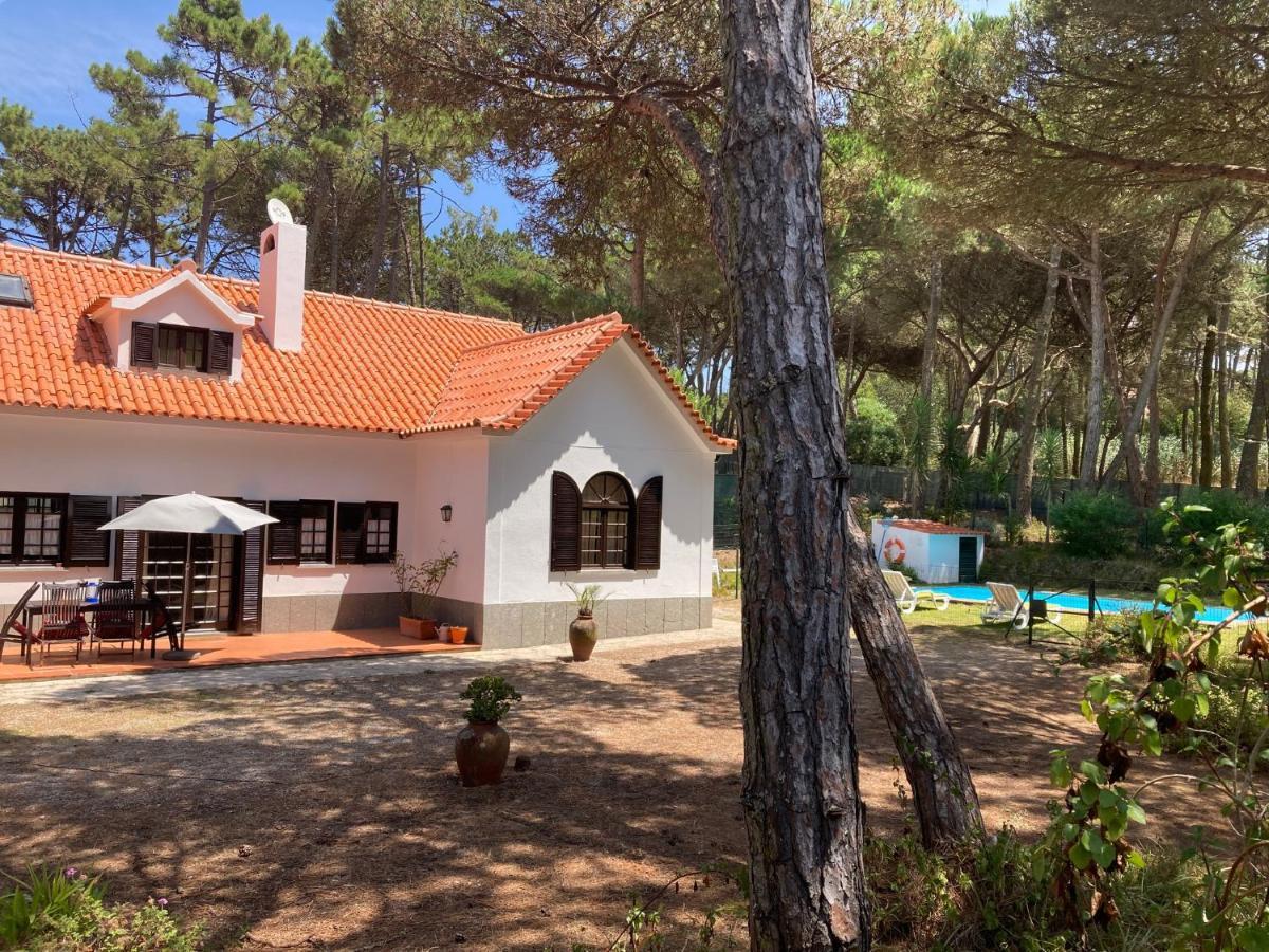 Moradia No Pinhal Com Piscina - Espaco E Privacidade Para As Suas Ferias! Sintra Exteriör bild
