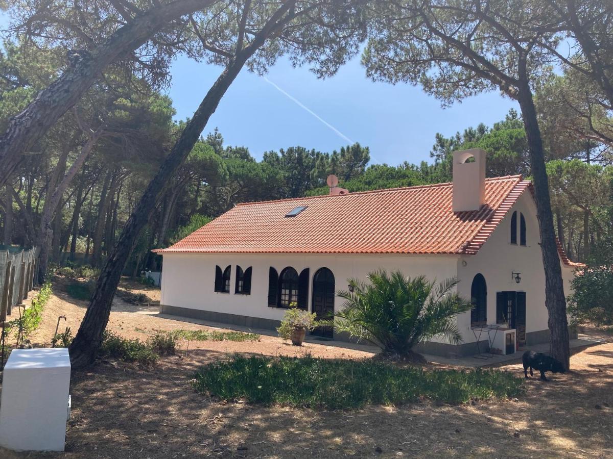 Moradia No Pinhal Com Piscina - Espaco E Privacidade Para As Suas Ferias! Sintra Exteriör bild