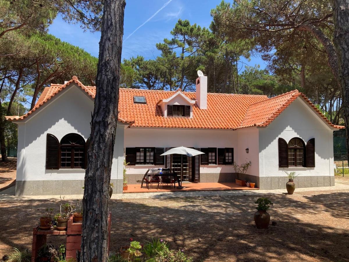 Moradia No Pinhal Com Piscina - Espaco E Privacidade Para As Suas Ferias! Sintra Exteriör bild